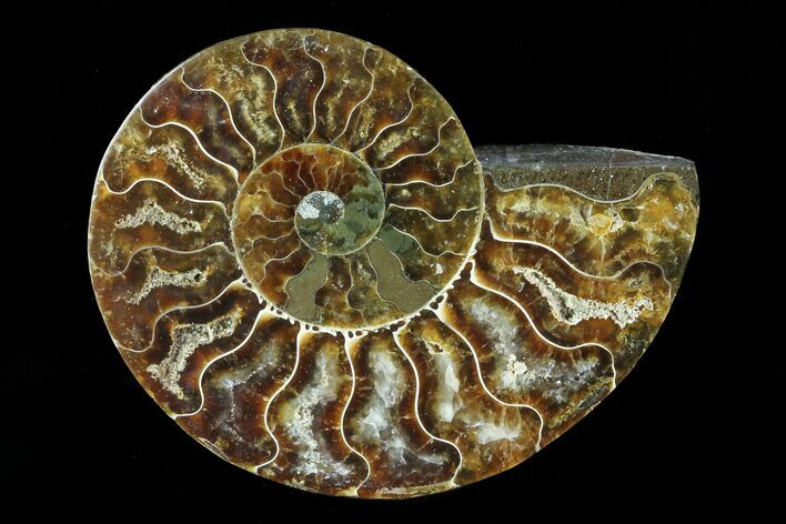Agatized Ammonite Fossil (Half) - Madagascar #83864